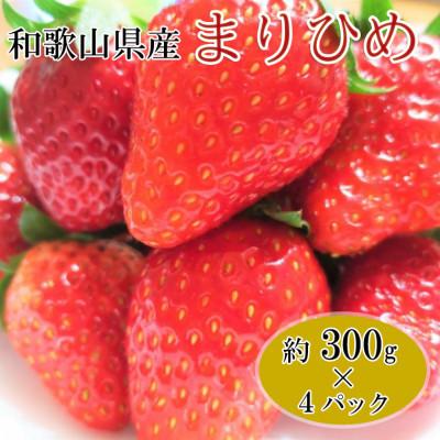 ふるさと納税 広川町 [2027年1月より発送]和歌山県産ブランドいちご「まりひめ」約300g×4パック入り(広川町)