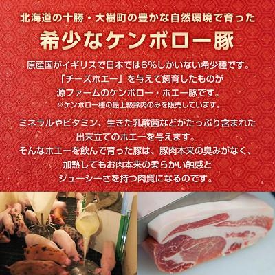 ふるさと納税 大樹町 【無添加】ケンボロー・ホエー豚　ベーコンブロック肉 |  | 02
