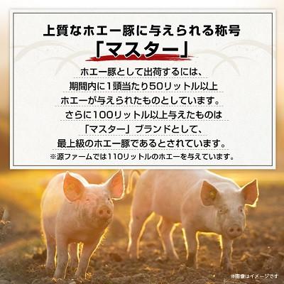 ふるさと納税 大樹町 【無添加】ケンボロー・ホエー豚　ベーコンブロック肉 |  | 03
