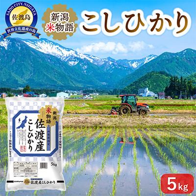 ふるさと納税 佐渡市 新潟米物語佐渡産コシヒカリ5kg