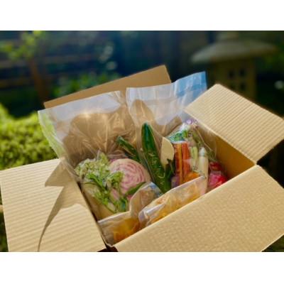 ふるさと納税 鎌倉市 季節の鎌倉やさいのバーニャカウダ
