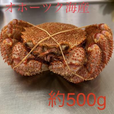 ふるさと納税 佐呂間町 オホーツク産 浜茹で毛蟹 約500g×1パイ 冷凍便