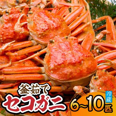 ふるさと納税 香美町 せこがに 釜茹で 冷凍 兵庫県香住産 約1.2kg(6〜10匹)[2026年11月中旬以降順次発送]