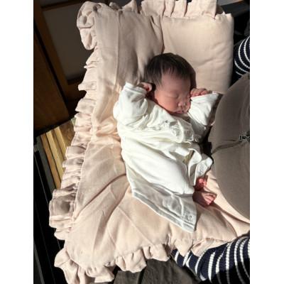 ふるさと納税 尼崎市 赤ちゃん抱っこふとん　(ピンク)_2