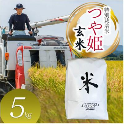 ふるさと納税 鶴岡市 数量限定[令和7年産]山形県庄内産 小池半左衛門のお米 特別栽培米 つや姫[玄米]5kg