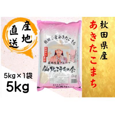 ふるさと納税 大仙市 [令和7年産]秋田県産あきたこまち 精米5kg