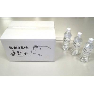 ふるさと納税 栄村 信越自然郷 天然水500ml PETボトル24本入り