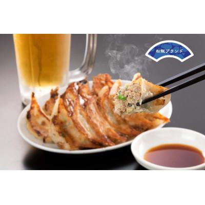 ふるさと納税 松阪市 松阪市:麺屋ばんびの[松阪餃子]20個入り×3パック たれ付き(冷凍)