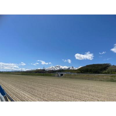 ふるさと納税 富良野市 【2027年発送】美味!秋の富良野メロン(レッド