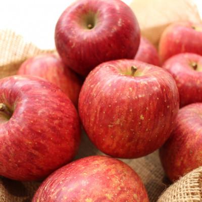 ふるさと納税 豊丘村 アグリスタくましろのサンふじご家庭用約3kg(6〜12玉)スマートフレッシュでパリパリ!