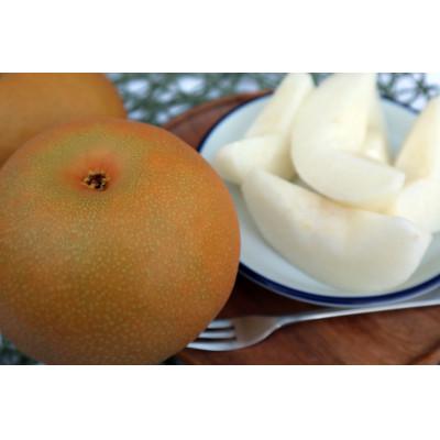 ふるさと納税 笠間市 さくまのあきづき梨 大玉5〜7個 約3.0kg(個数おまかせ)