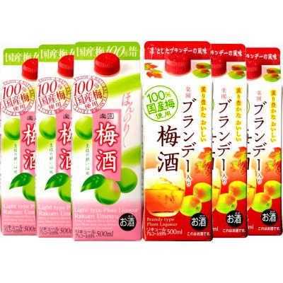 ふるさと納税 清須市 梅酒飲み比べ6本セット | 