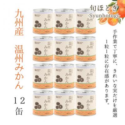 ふるさと納税 松浦市 缶詰工場直送　特選果実「旬ほとぎ」温州みかん12缶 |  | 01