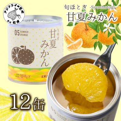 ふるさと納税 松浦市 缶詰工場直送 特選果実「旬ほとぎ」甘夏みかん12缶