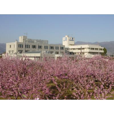 ふるさと納税 笛吹市 人間ドック ラグジュアリーコース