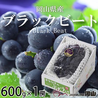 ふるさと納税 玉野市 岡山県産 ブラックビート 600g×1房