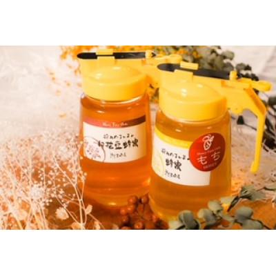 ふるさと納税 大垣市 [国産蜂蜜]450gパッカー容器2本セット(くろがねもち蜂蜜、白花豆蜂蜜)