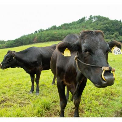 ふるさと納税 白老町 白老牛ローストビーフ用500g |  | 02