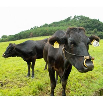 ふるさと納税 白老町 白老牛リブロースすき焼き500g　ギフトセット |  | 02