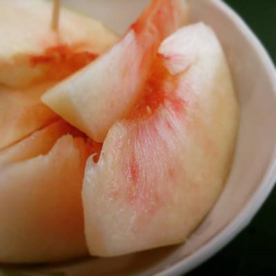 ふるさと納税 豊丘村 【先行受付】アグリスタくましろのあまーい桃『あかつき』約2.5kg 7月中下旬より順次発送予定の画像