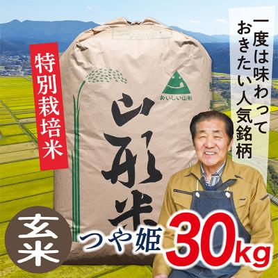 ふるさと納税 最上町 [玄米]令和7年産山形県産特別栽培米 つや姫30kg