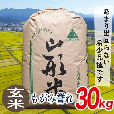 ふるさと納税 最上町 [玄米]令和7年産山形県産もがみ誉れ30kg