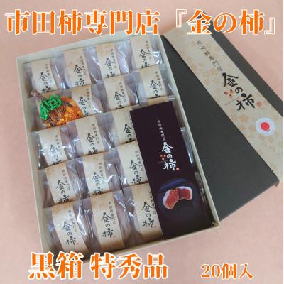 ふるさと納税 豊丘村 [先行受付][市田柿専門店 金の柿]黒箱「特秀品」2Lサイズ20個入り