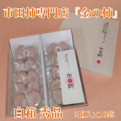ふるさと納税 豊丘村 [先行受付][市田柿専門店 金の柿]白箱「秀品」Lサイズ2個包装×10袋入り