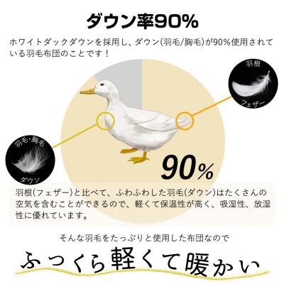 ふるさと納税 河合町 【春夏用】洗える羽毛肌掛け布団シングルサイズダウン90%0.3kg 北欧調ガーブカーサイエロー_2