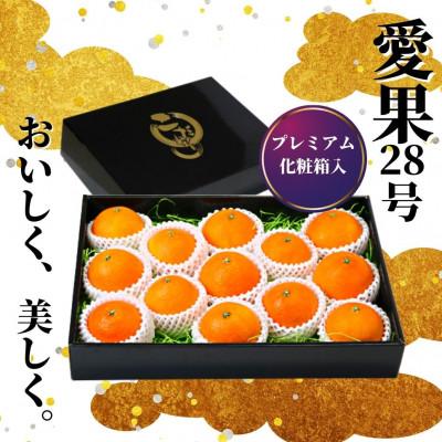 ふるさと納税 松山市 プレミアム[愛果28号] 化粧箱入<2025年12月頃より発送>