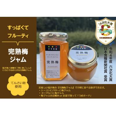 ふるさと納税 若狭町 完熟梅ジャム3本セット[福井梅 若狭町産]