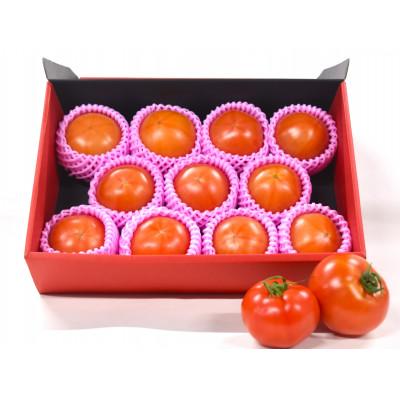 ふるさと納税 函南町 [フルーツトマト]丹那高原トマト(桃太郎)「彩(いろどり)」