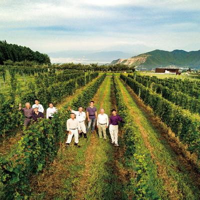 ふるさと納税 高山村 信州たかやまワイナリーのシャルドネ白ワイン1本(長野県高山村産ワインブドウ100%のワイン) |  | 03