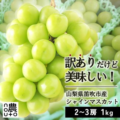ふるさと納税 笛吹市 先行受付 2026年発送 日本一の生産量 訳あり シャインマスカット1kg 2房〜3房 山梨県 笛吹