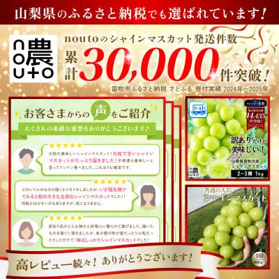 ふるさと納税 笛吹市 先行受付 2026年発送 日本一の生産量 訳あり シャインマスカット1kg 2房〜3房 山梨県 笛吹 |  | 01