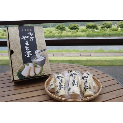 ふるさと納税 多古町 大和芋2kg(B棒)