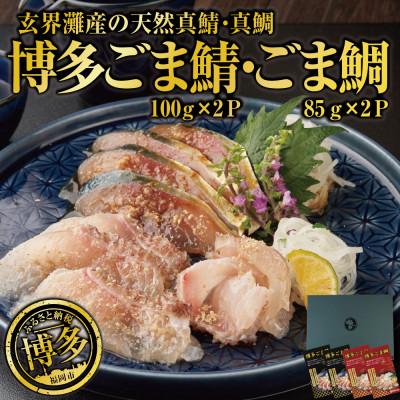 ふるさと納税 福岡市 長浜市場水揚げ天然 ごま鯖&amp;ごま鯛(各2パック)