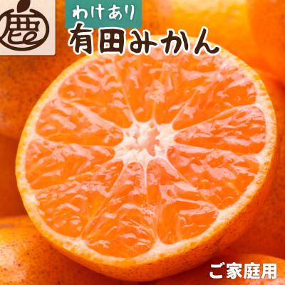 ふるさと納税 印南町 家庭用 有田みかん10kg+250g(傷み補償分)[光センサー選果][訳あり]