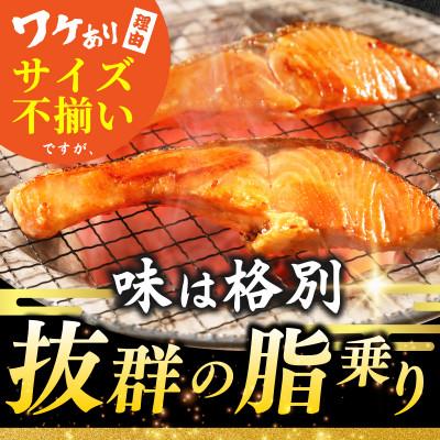 ふるさと納税 泉佐野市 銀鮭切身 2kg(約18切れ)訳あり 規格外 サーモン |  | 02