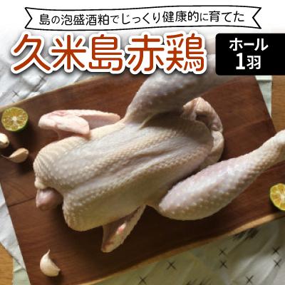 ふるさと納税 久米島町 島の泡盛酒粕でじっくり健康的に育てた 久米島赤鶏ホール(丸鶏)1羽(約2kg)