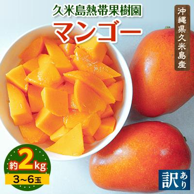 ふるさと納税 久米島町 [2026年6月から順次発送・訳あり品]久米島熱帯果樹園の完熟アップルマンゴー2kg(3〜6玉)