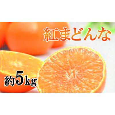 ふるさと納税 松山市 [家庭用]ご家庭用 紅まどんな 約5kg(L〜4L)