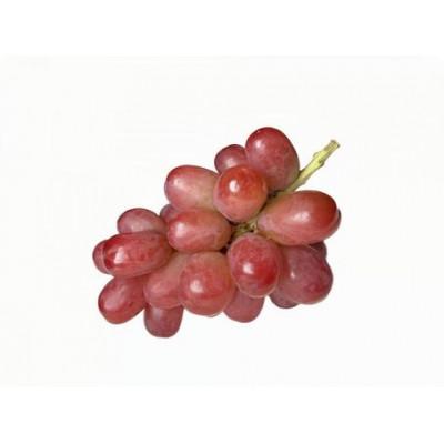 ふるさと納税 城里町 我が道 桐箱入り1房(県内共通返礼品:かすみがうら市産)