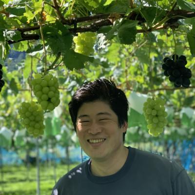 ふるさと納税 長野市 【2026年発送】ナガノパープル2房 |  | 02