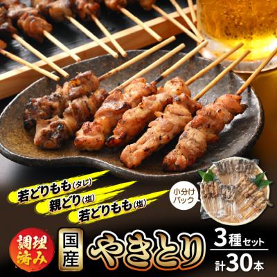 ふるさと納税 越前町 国産 やきとり3種セット 計30本(5本 × 6袋)
