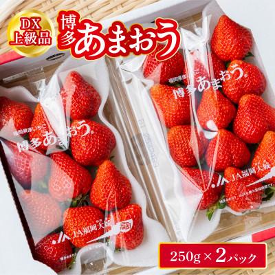 ふるさと納税 北九州市 福岡県産 博多あまおう DX上級品 約500g (約250g×2パック入り)[12月上旬発送]