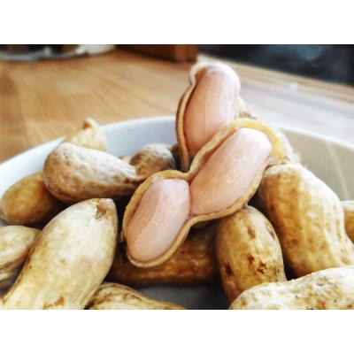 ふるさと納税 旭市 【2026年09月上旬以降順次発送】千葉県産　生おおまさり　1.5kg　 |  | 03