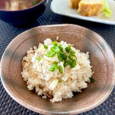 ふるさと納税 松山市 愛媛松山 鯛めし [炊き込み]