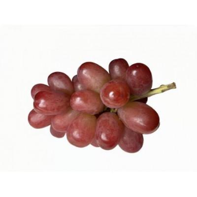 ふるさと納税 城里町 我が道 1房(県内共通返礼品:かすみがうら市産)