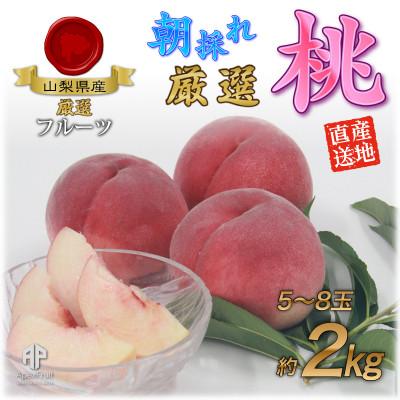 ふるさと納税 南アルプス市 厳選!南アルプス市産 朝採り桃 約2kg(5〜8玉)